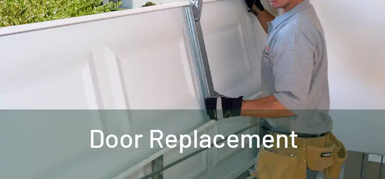  Door Replacement 